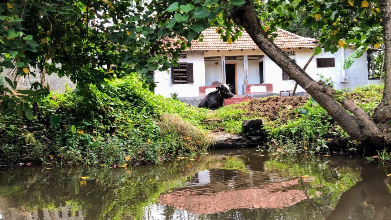 Ayana'S Homestay Alappuzha Екстер'єр фото